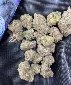 Purple Haze sativa strain buds displayed on a neutral background at Florida Gas Packs