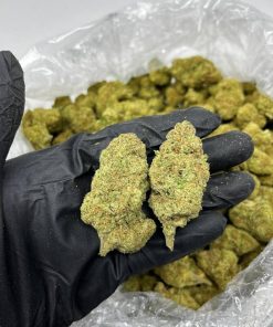 Green Crack cannabis strain close-up with vibrant green buds