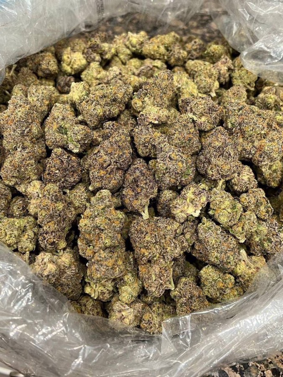 Grape Ape Bulk Flower – Florida Gas Packs Grape Ape strain bulk flower displayed on a clean surface showing size and quality of dense indica nugs