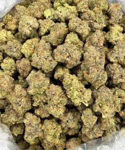 Fresh Jack Herer cannabis buds - premium sativa strain with citrusy aroma, ideal for energizing effects.