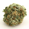 AK-47 cannabis strain buds showing dense trichome-covered yellowish-green nugs with red hairs