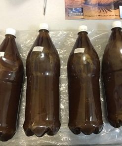 Bottle of traditionally brewed ayahuasca tea made with Banisteriopsis caapi and Chacruna, available for sale online