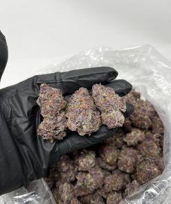 Purple Haze cannabis buds on white background, premium indica-dominant strain
