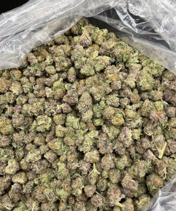 Purple Haze Cannabis Strain - Vibrant Purple Buds with Fruity Aroma