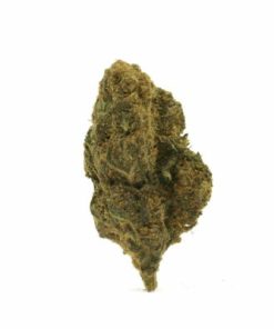 Fortified Cali Sunrise Delta 8 hemp flower buds showing dense indica structure with vibrant green coloring