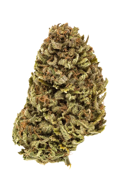 Cherry Pie strain flower dense chunky buds with orange pistils and frosty trichomes from Florida Gas Packs