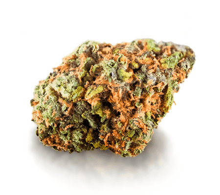 Cherry Pie strain dense purple and green buds with orange pistils from Florida Gas Packs top shelf collection