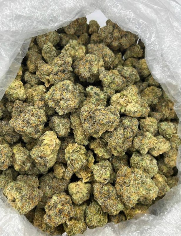 Close-up of Strawberry Cough strain buds showing dense amber trichomes and red pistils on a dark background