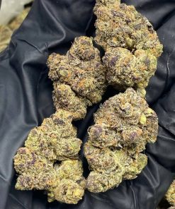 Fresh Jack Herer cannabis buds with earthy aroma and vibrant green hues