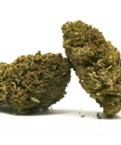 Cherry Abacus 2.0 CBD hemp flower dense frosty nugs with cherry and blackberry aroma by Industrial Hemp Farms