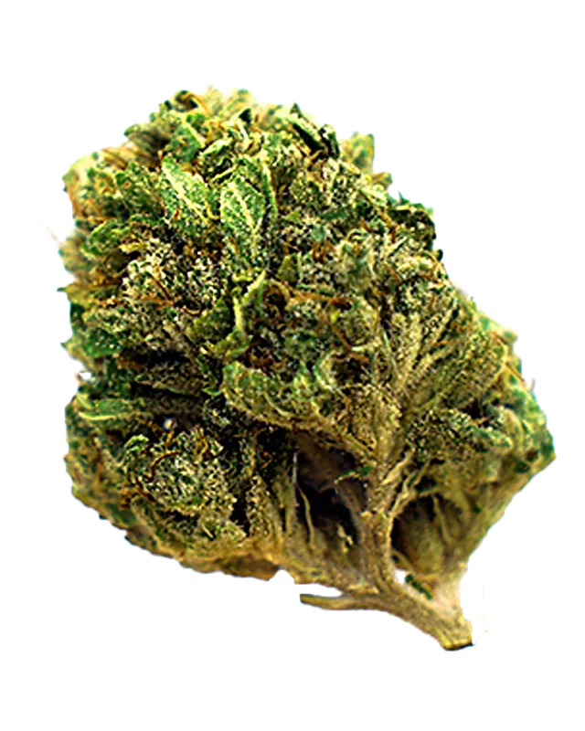 Close-up of Do-Si-Dos strain flower buds covered in trichomes with an earthy tangy aroma, available at Florida Gas Packs