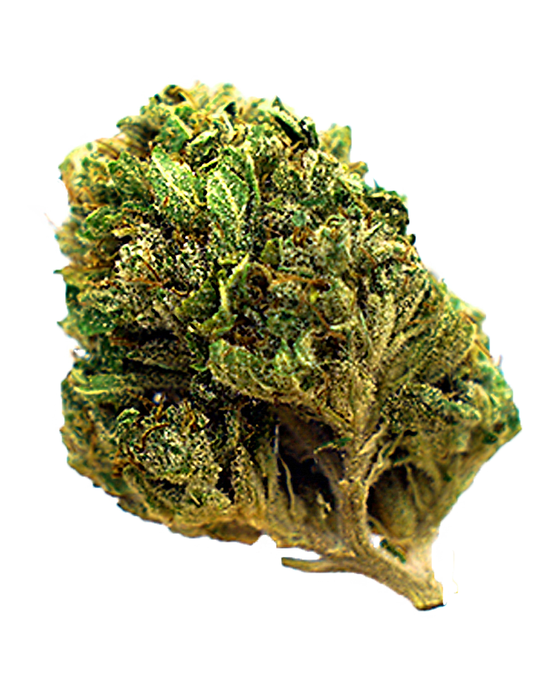 Do-Si-Dos Strain Flower – Florida Gas Packs DO-SI-DOS sandwich cookies with chocolate wafers and vanilla cream filling