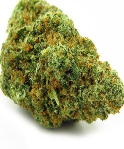 Gelato cannabis strain buds showing dense forest green nugs with bright orange pistils and deep purple hues