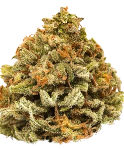 Close-up of Nilla Wafers strain flower buds showing dense trichome coverage, available at Florida Gas Packs dispensary