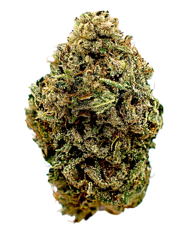 Close-up of The Judge cannabis flower showing dense frosty trichomes and classic indica bud structure at Florida Gas Packs