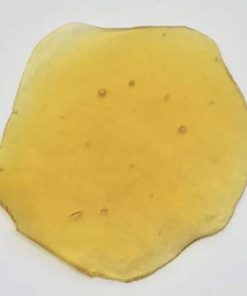 Golden Khalifa Kush Shatter with rich amber hue, potent THC extract, sticky texture, premium cannabis concentrate.
