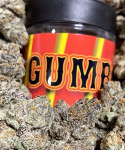 Close-up of dense jade-green Gumbo strain weed buds covered in shimmering trichomes