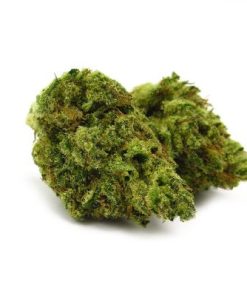 Banjo Kush cannabis strain buds close-up, deep purple-green with orange pistils, trichome coverage