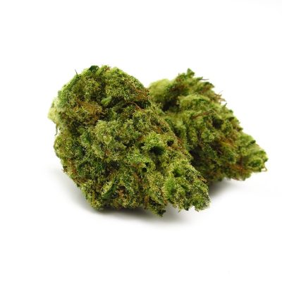 Close-up of Banjo Kush hybrid strain buds showing dense trichome coating, orange hairs, and light-green coloring