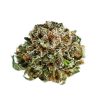 LSD strain cannabis buds showing dense cone-shaped indica structure with dark green coloring and small trichomes
