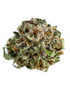 LSD strain cannabis buds showing dense cone-shaped indica structure with dark green coloring and small trichomes