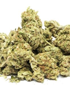 Trainwreck sativa-dominant hybrid cannabis buds with dense resin coating