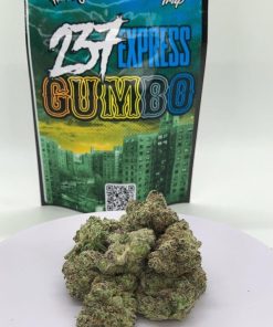 237 Express Gumbo strain dense jade popcorn buds with thick trichome coating, available at Florida Gas Packs