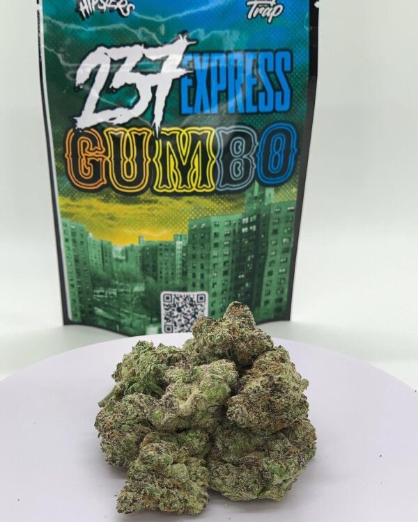 237 Express Gumbo strain dense jade popcorn buds with thick trichome coating, available at Florida Gas Packs