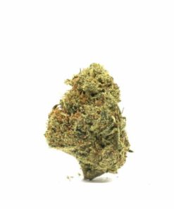 Fortified Goliath Delta 8 hemp flower with orange hairs and chunky dense nugs