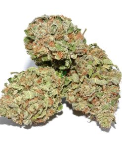 Purple Kush cannabis buds showing dense green and purple flowers covered in white trichomes and orange pistils
