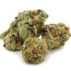 Blue Dream sativa-dominant hybrid cannabis buds with deep blue hues, amber hairs, and milky white trichomes