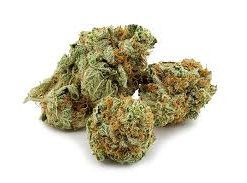 Blue Dream sativa-dominant hybrid cannabis buds with deep blue hues, amber hairs, and milky white trichomes
