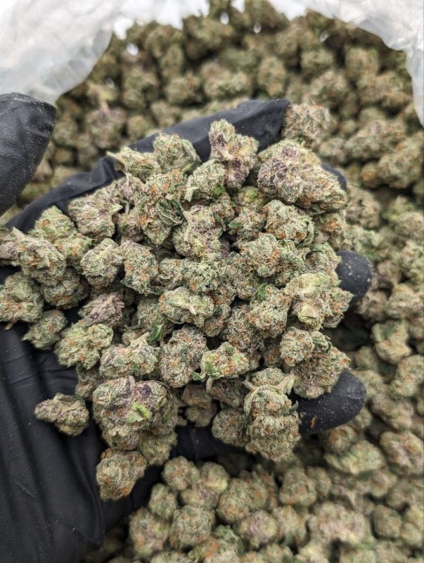 Triple Chocolate Chip Smalls flower — dense, frosty small nugs with rich chocolate terpene aroma from Florida Gas Packs
