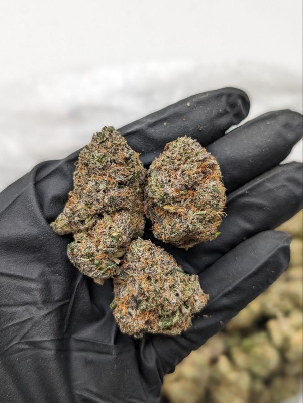 Zushi strain flower — dense, frosty indica-dominant buds available at Florida Gas Packs dispensary