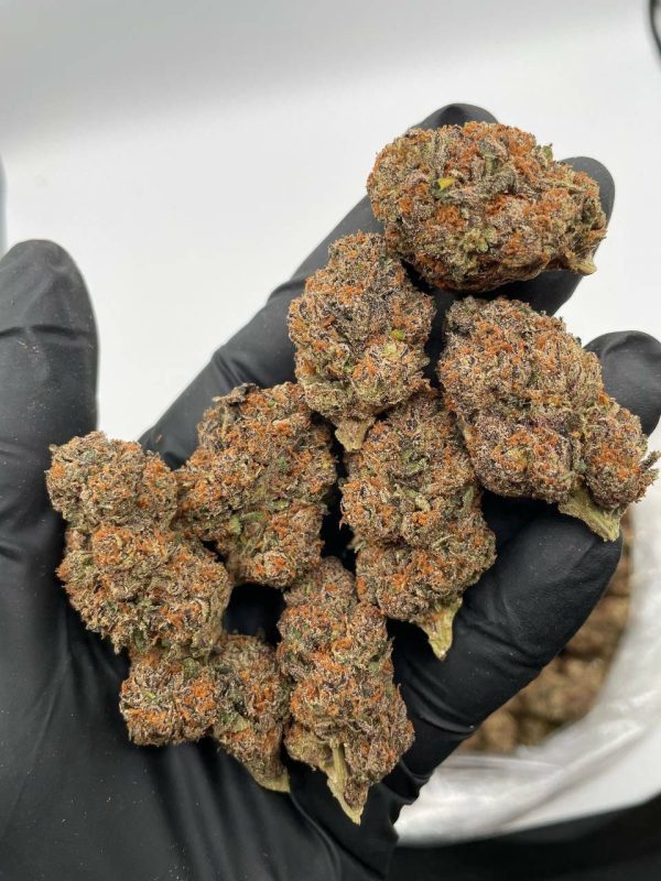 Rainbowz weed flower buds with vibrant purple, green, and orange trichome-covered nugs at Florida Gas Packs dispensary