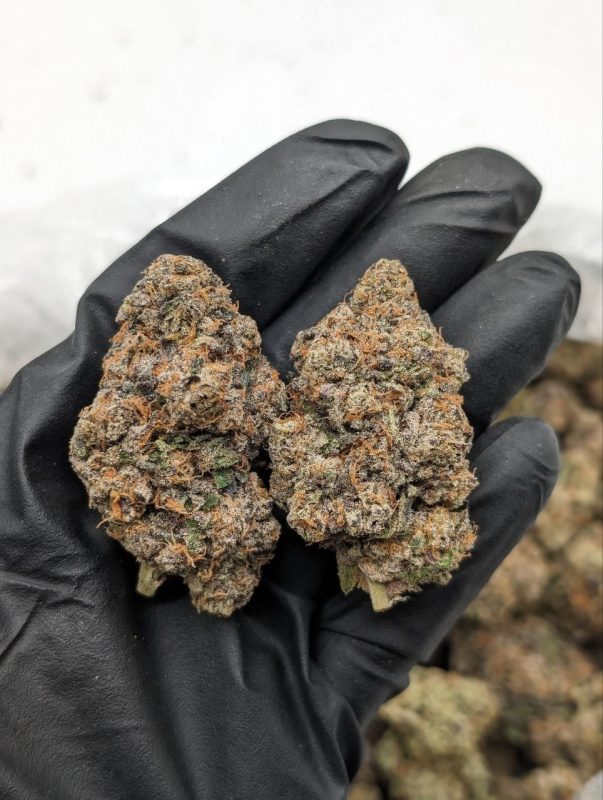 Milk Duds hybrid strain cannabis flower available at Florida Gas Packs dispensary