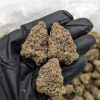 MAC 1 cannabis flower dense frosty buds with heavy trichome coverage available at Florida Gas Packs
