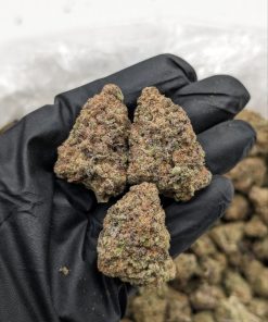 MAC 1 cannabis flower dense frosty buds with heavy trichome coverage available at Florida Gas Packs
