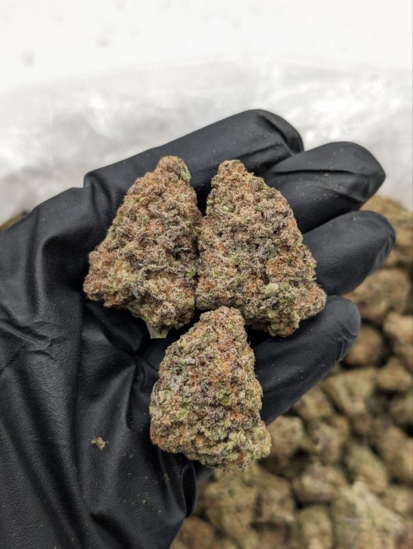 MAC 1 cannabis flower dense frosty buds with heavy trichome coverage available at Florida Gas Packs