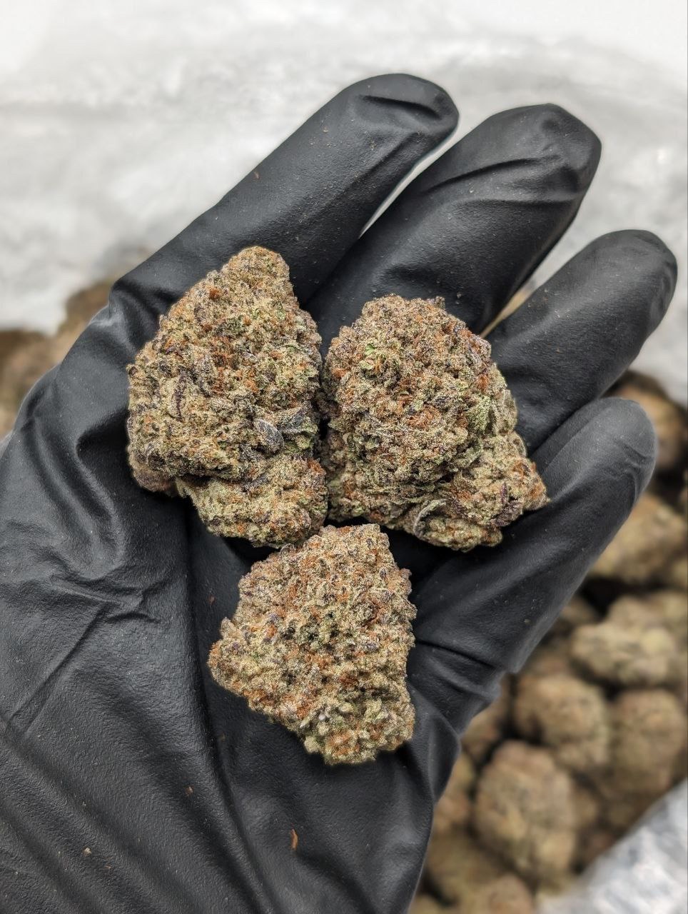Snickerdoodle Cannabis Flower – Florida Gas Packs Snickerdoodle PCB with FPGA & onboard Wi-Fi - compact dev board for embedded projects