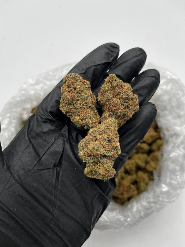 Close-up of Ice Cream Sherbert flower buds showing dense frosty trichomes and vibrant green color at Florida Gas Packs dispensary