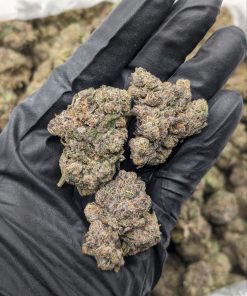 Jealousy Runtz strain cannabis buds close-up, vibrant green with orange pistils, trichome-rich, premium quality.