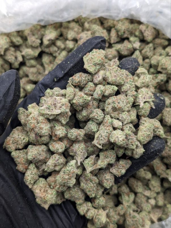 Close-up of Slurricane Smalls flower buds showing sweet indica cannabis from Florida Gas Packs dispensary