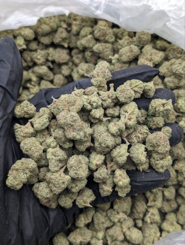 Abba Zabba Smalls flower — terpene-rich small cannabis buds available at Florida Gas Packs dispensary