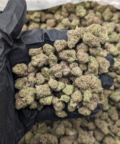 Cereal Milk Smalls cannabis strain buds in a jar with milk chocolate aroma