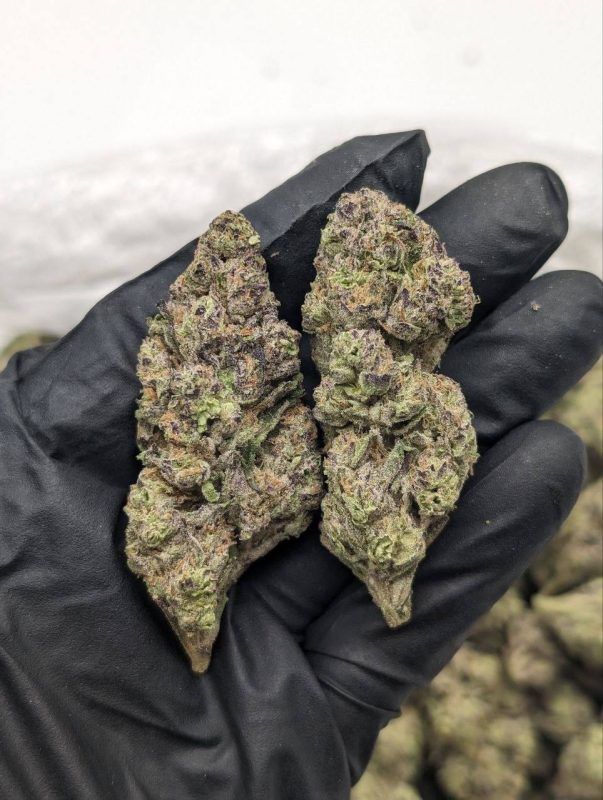 Close-up of Strawberry Banana strain flower showing dense, frosty buds with vibrant green and orange coloring at Florida Gas Packs