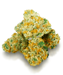 Cannatonic cannabis strain bud with earthy aroma, CBD-rich, green with purple hues