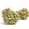 Zkittlez indica-dominant hybrid cannabis buds with dense green and purple coloring and orange pistils