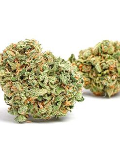 Zkittlez indica-dominant hybrid cannabis buds with dense green and purple coloring and orange pistils