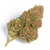 Northern Lights indica cannabis strain dense green buds with resinous trichomes